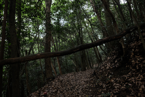 狗留孫山・重兵衛茶屋