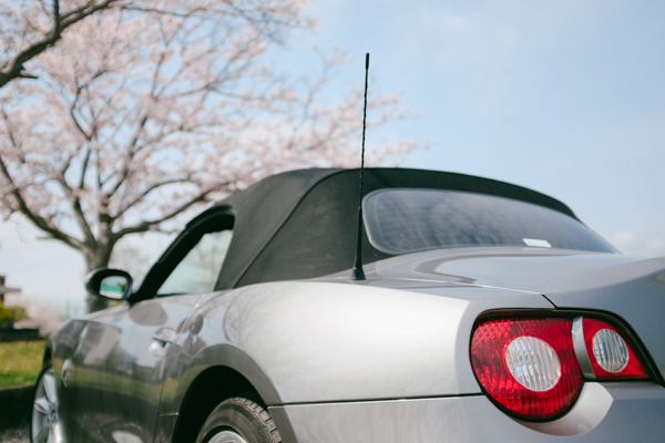 桜・BMW Z4