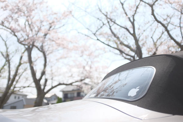 桜・BMW Z4