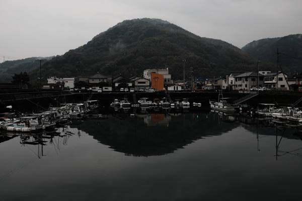 アロハオレンジ・周防大島