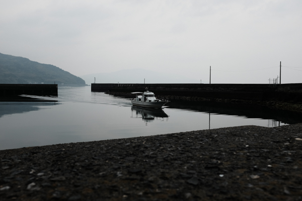 アロハオレンジ・周防大島