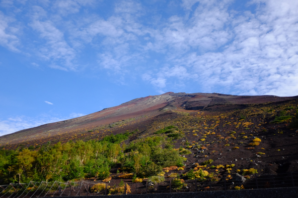 富士山・武田ハートクリニック・さいとう眼科医院・秋庭歯科矯正歯科クリニック