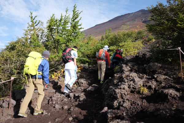 富士山・武田ハートクリニック・さいとう眼科医院・秋庭歯科矯正歯科クリニック