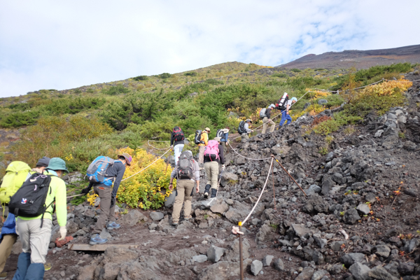 富士山・武田ハートクリニック・さいとう眼科医院・秋庭歯科矯正歯科クリニック