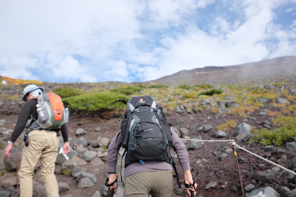 富士山・武田ハートクリニック・さいとう眼科医院・秋庭歯科矯正歯科クリニック