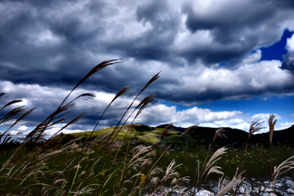 XF16mmF1.4 R WR・XF90mmF2 R LM WR・FUJIFILM X-T1・平尾台自然の郷