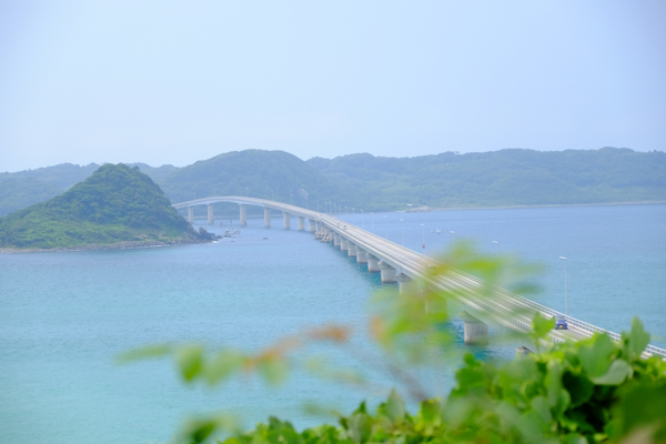 田中商店撮影