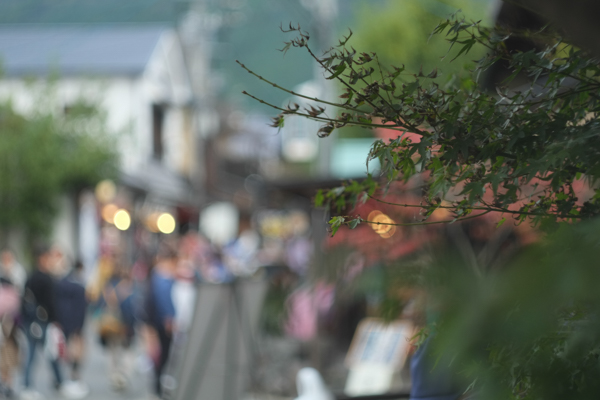 ヘリオス HELIOS44-2 M42マウント58mmF2.0