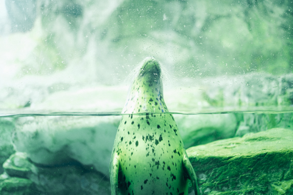 ひとモノコトつながるデザインプロジェクト・市立しものせき水族館「海響館」