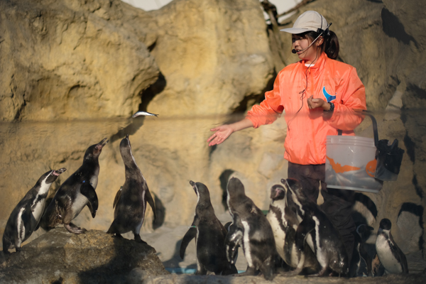 ひとモノコトつながるデザインプロジェクト・市立しものせき水族館「海響館」