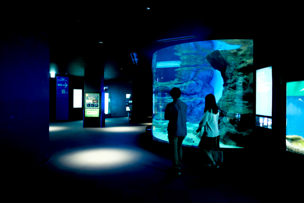 ひとモノコトつながるデザインプロジェクト・市立しものせき水族館「海響館」
