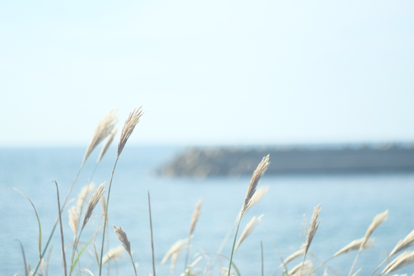 ヘリオス HELIOS44-2 M42マウント58mmF2.0・FUJIFILM X-Pro1