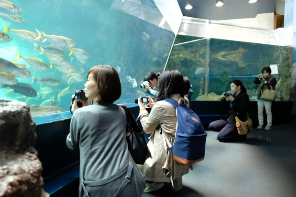 ひとモノコトつながるデザインプロジェクト・市立しものせき水族館「海響館」・ヨロズカフェ・ものばんく