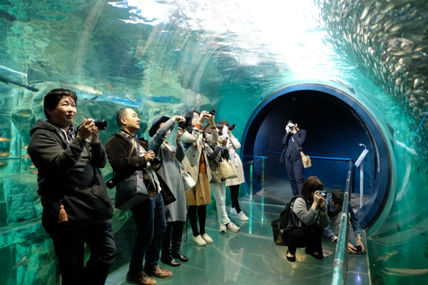 ひとモノコトつながるデザインプロジェクト・市立しものせき水族館「海響館」・ヨロズカフェ・ものばんく