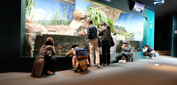 ひとモノコトつながるデザインプロジェクト・市立しものせき水族館「海響館」・ヨロズカフェ・ものばんく