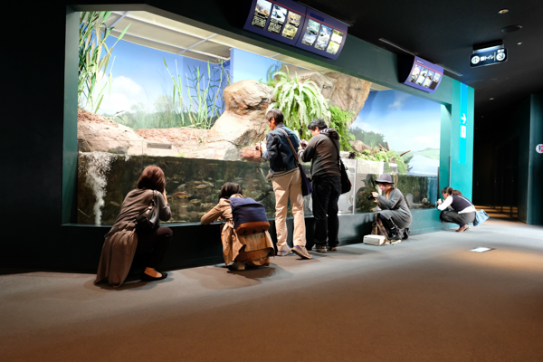 ひとモノコトつながるデザインプロジェクト・市立しものせき水族館「海響館」・ヨロズカフェ・ものばんく