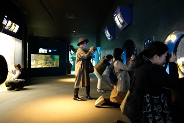 ひとモノコトつながるデザインプロジェクト・市立しものせき水族館「海響館」・ヨロズカフェ・ものばんく