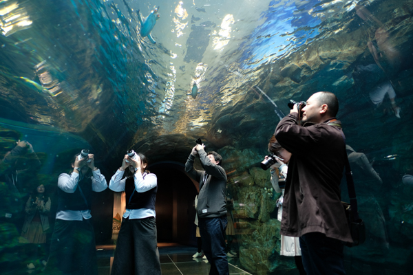 ひとモノコトつながるデザインプロジェクト・市立しものせき水族館「海響館」・ヨロズカフェ・ものばんく