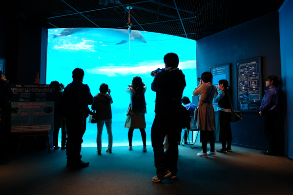 ひとモノコトつながるデザインプロジェクト・市立しものせき水族館「海響館」・ヨロズカフェ・ものばんく