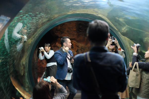 ひとモノコトつながるデザインプロジェクト・市立しものせき水族館「海響館」・ヨロズカフェ・ものばんく