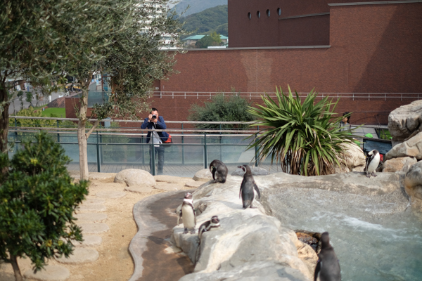 ひとモノコトつながるデザインプロジェクト・市立しものせき水族館「海響館」・ヨロズカフェ・ものばんく