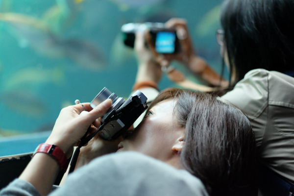 ひとモノコトつながるデザインプロジェクト・市立しものせき水族館「海響館」・ヨロズカフェ・ものばんく