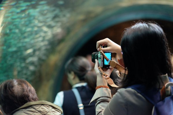 ひとモノコトつながるデザインプロジェクト・市立しものせき水族館「海響館」・ヨロズカフェ・ものばんく