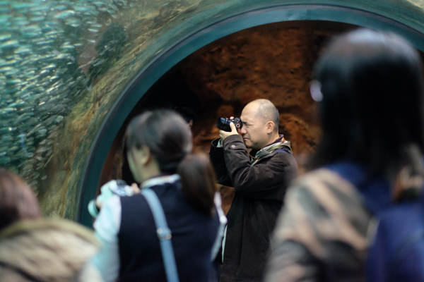 ひとモノコトつながるデザインプロジェクト・市立しものせき水族館「海響館」・ヨロズカフェ・ものばんく