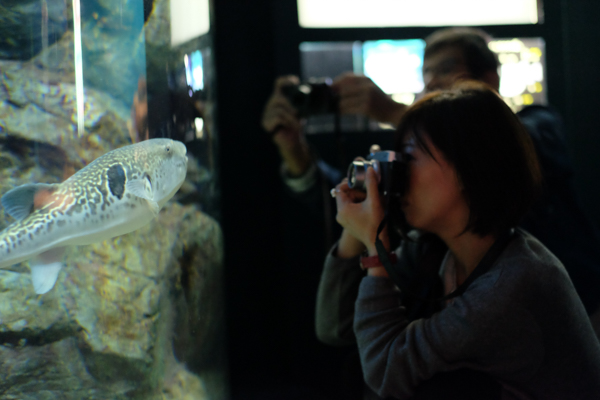 ひとモノコトつながるデザインプロジェクト・市立しものせき水族館「海響館」・ヨロズカフェ・ものばんく