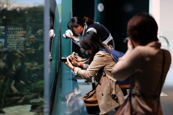 ひとモノコトつながるデザインプロジェクト・市立しものせき水族館「海響館」・ヨロズカフェ・ものばんく