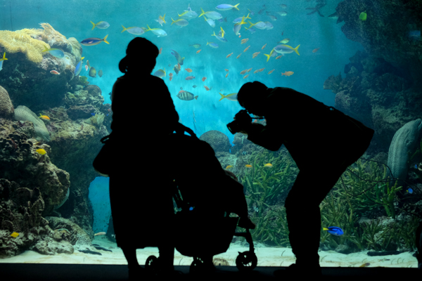 ひとモノコトつながるデザインプロジェクト・市立しものせき水族館「海響館」・ヨロズカフェ・ものばんく