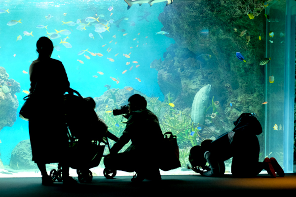 ひとモノコトつながるデザインプロジェクト・市立しものせき水族館「海響館」・ヨロズカフェ・ものばんく