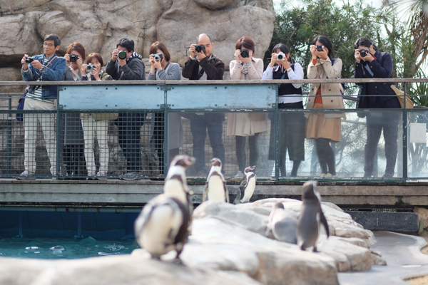 ひとモノコトつながるデザインプロジェクト・市立しものせき水族館「海響館」・ヨロズカフェ・ものばんく