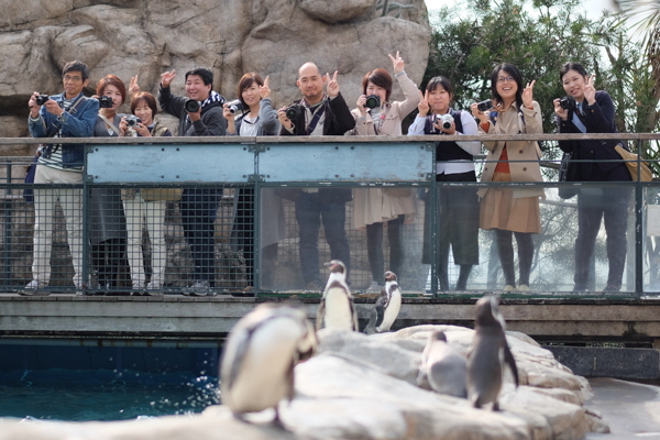 ひとモノコトつながるデザインプロジェクト・市立しものせき水族館「海響館」・ヨロズカフェ・ものばんく