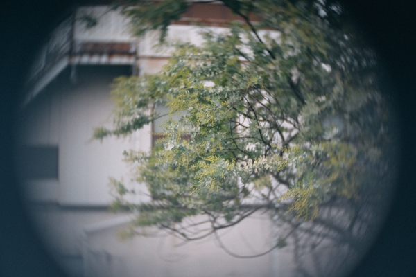 FUJIAN 25mm F/1.4 CCTV Cマウントレンズ（シルバー）