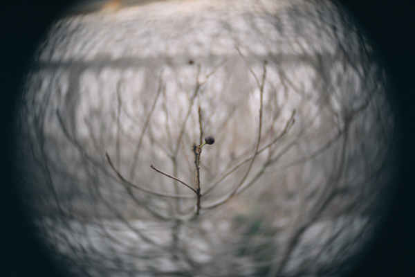 FUJIAN 25mm F/1.4 CCTV Cマウントレンズ（シルバー）