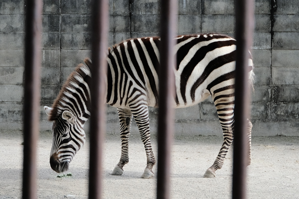 周南市徳山動物園