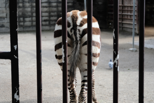 周南市徳山動物園