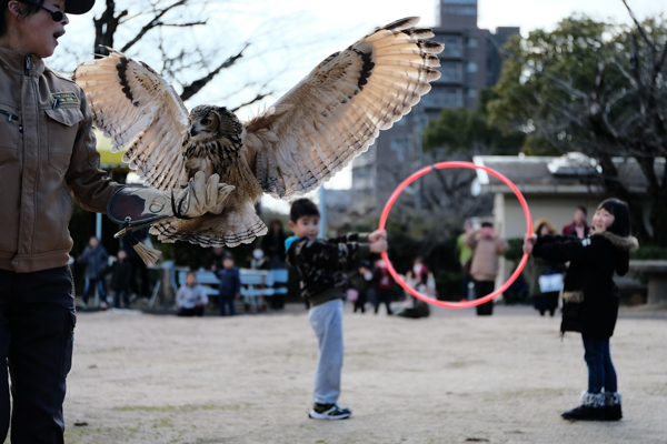 周南市徳山動物園