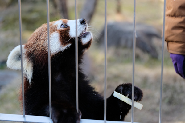 周南市徳山動物園