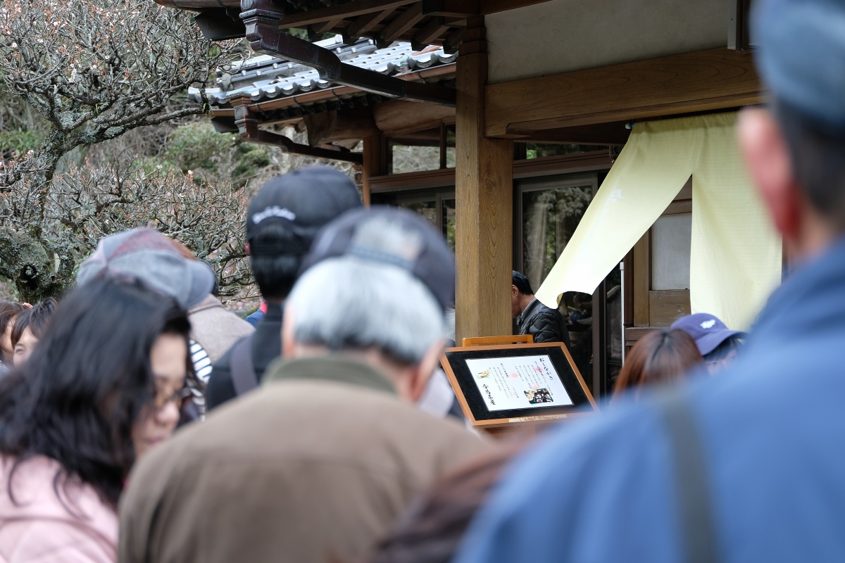 今年はお客様と合馬の筍堪能しました