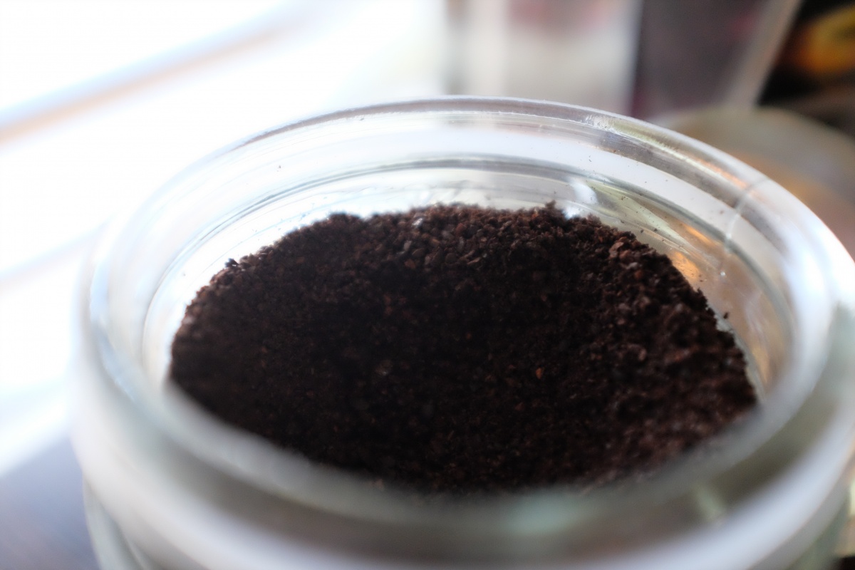 コピルアク Kopi Luwak ジャコウネコの糞から採られる未消化のコーヒー豆