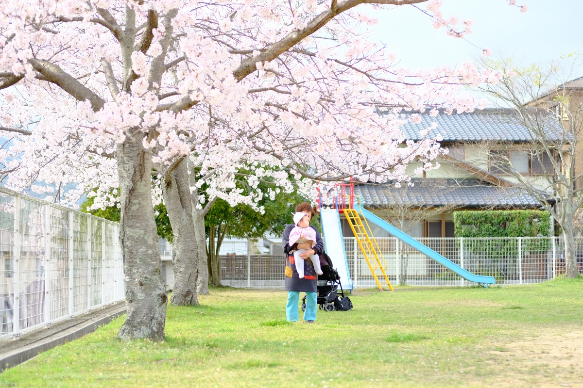 私にしか撮れないさくらの写真は難しい