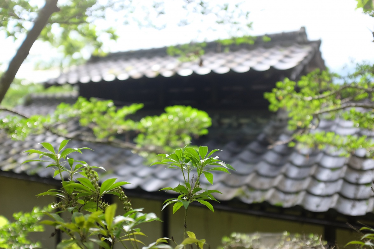 由布岳を借景にする「夢想園」由布院盆地の中心から少し離れた高台に位置し、園内に3棟からなるそれぞれの趣の異なった客室がある