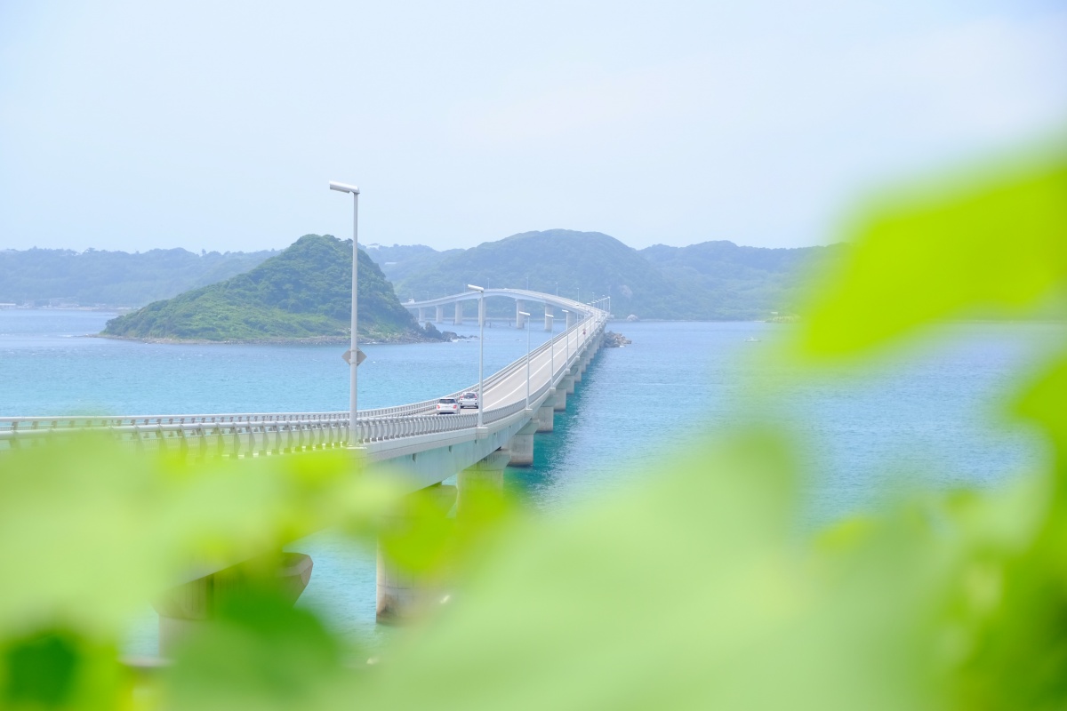 人気観光地「角島」ならではの特産品をお土産に！「しおかぜの里・角島」さんのホームページリニューアルを担当させて頂くことになりました！