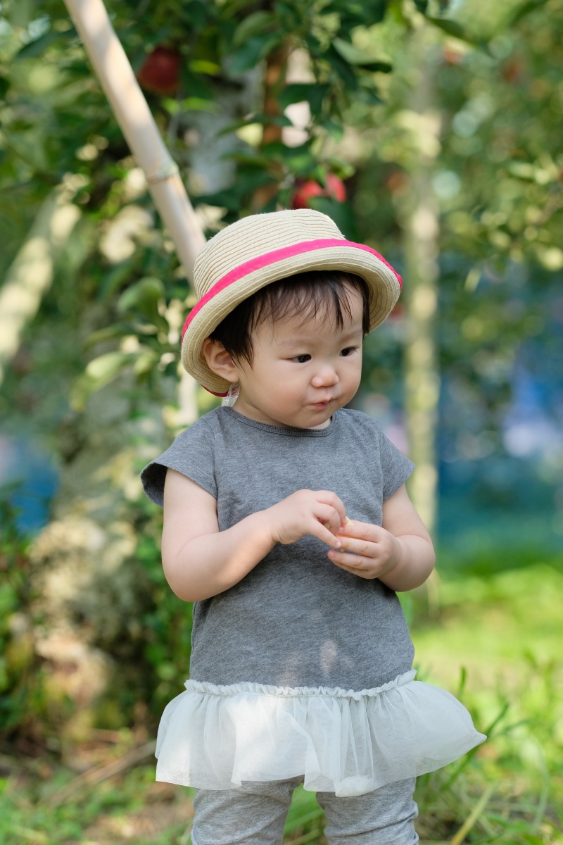 りんご大好きな姫ちゃんが「しもせりんご村」で初めてのりんご狩り