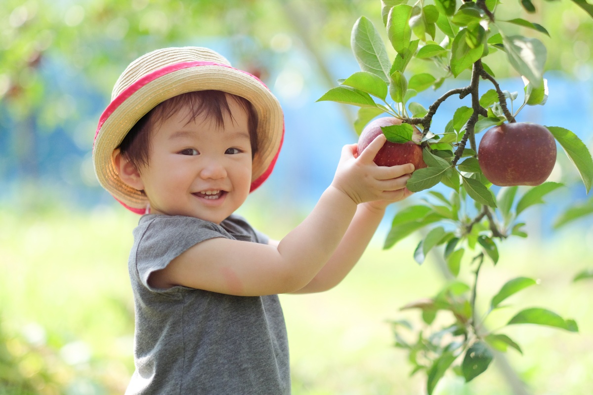 りんご大好きな姫ちゃんが「しもせりんご村」で初めてのりんご狩り