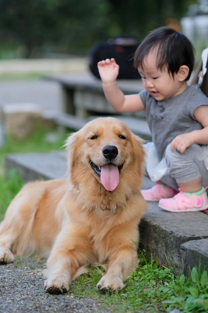 りんご大好きな姫ちゃんが「しもせりんご村」で初めてのりんご狩り