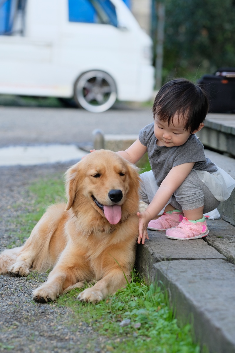 りんご大好きな姫ちゃんが「しもせりんご村」で初めてのりんご狩り