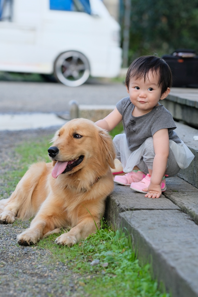 りんご大好きな姫ちゃんが「しもせりんご村」で初めてのりんご狩り